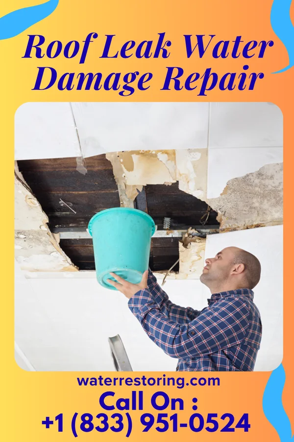 Roof Leak Water Damage Repair in North Muskegon, MI